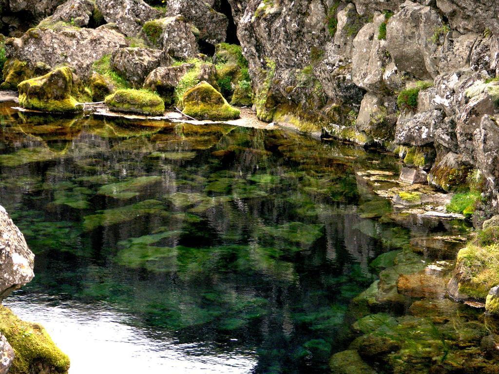 Thingvellir Lake Cottage Veithilundur Cameră foto